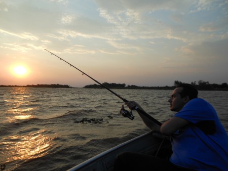 que foto hein frango .......... 